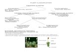 BIO 3:Plant Classification