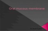Oral Mucous Membrane