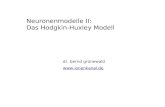Neuronenmodelle II: Das Hodgkin-Huxley Modell dr. bernd grünewald .