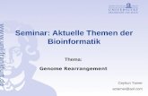 Seminar: Aktuelle Themen der Bioinformatik Thema: Genome Rearrangement Ceyhun Tamer actamer@aol.com.