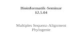 Bioinformatik-Seminar 12.5.04 Multiples Sequenz-Alignment Phylogenie.