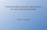 Professionalisierung der Ergotherapie im internationalen Kontext Birgit Prodinger.