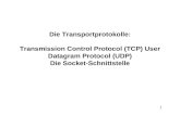 1 Die Transportprotokolle: Transmission Control Protocol (TCP) User Datagram Protocol (UDP) Die Socket-Schnittstelle