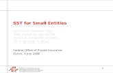 1 Federal Office of Private Insurance Zurich, 3 July 2006 SST for Small Entities.