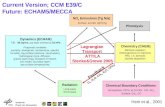 Institut für Physik der Atmosphäre Current Version; CCM E39/C Future: ECHAM5/MECCA Surface, aircraft, lightning NO x Emissions [Tg N/a] Radiation Long-wave.
