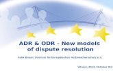 08.2005 ADR & ODR - New models of dispute resolution Felix Braun, Zentrum für Europäischen Verbraucherschutz e.V. Vilnius, 2013, October 3rd.