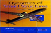 Dynamics of Smart Structure