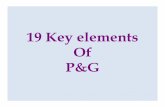19 Elements of P&G Audit Dt15!1!10