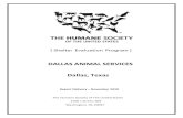 Dallas Animal Services Final Report