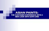 CRM Asian Paints