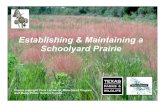 Creating a Schoolyard Prairie - Diana Foss - TPWD