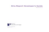 Brio.Report Developer’s Guide V6.2