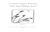 Carnivorous Plants and the Man-Eating Tree