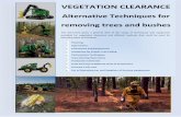 Vegetation Clearance Final