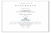 Seminar (Blue Brain)