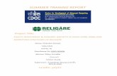 Equity Investment and Economic growth of India & Market stratrgies of Religare