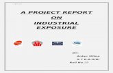 Project Report Ankur