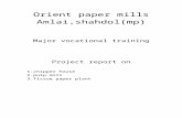 Orient Paper Mills