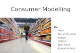 Consumer Modeling