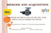 Merger and Acquisition Final