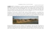 Bhagalpur and Ganges Erosion