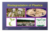 Bio Degradation of Plastics