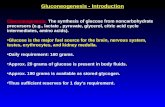 Lecture 04 Gluconeogenesis