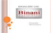 Binani Zinc Ltd