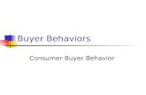 Buyer Behaviors in  integrated marketing communication