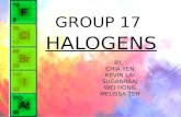Inorganic Chemistry : Group 17