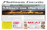 Platinum Gazette 30 July 2010
