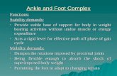 Ankle and Foot Complex 1a