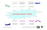 LabVIEW Data Types & Conversions Between These Types