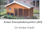 Avian Encephalomyelitis (AE)