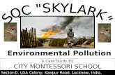 Case Study on Environmental Pollution