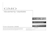 GMO 2009 Q1 Update