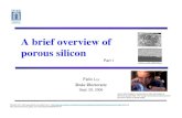 A Brief Overview of Porous Silicon