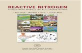 Reactive N in Agric Environ Industry in India