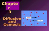 Chapter 3 - Diffusion & Osmosis