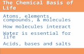 Chemistry - Chemical Basis of Life - Power Point