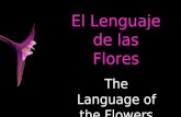 El Lenguaje de las Flores The Language of the Flowers.