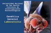 Genética General Laboratorio Universidad Nacional de San Martín Instituto de Investigaciones Biotecnológicas.