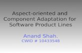 Aspect-oriented and Component Adaptation for Software Product Lines