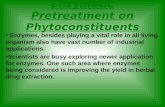 Enzymatic Pre Treatment on Phytoconstituents2