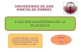 Fx Endocrina de La Placenta.