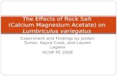 The Effects of Calcium Magnesium Acetate on Lumbriculus