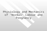 Physiology of ‘Normal’ Labour