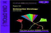 CIMA E3 Official Exam Practice-1 Copy 2
