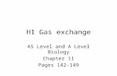 H1 Gas Exchange