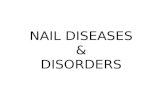 NAIL DISEASES DISORDERS POWERPOINT PRESENTATION 2010-1.ppt